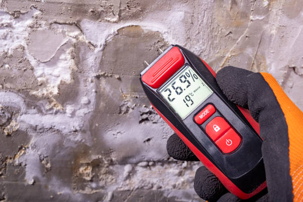 Best Home Mold Removal  in Maury, NC