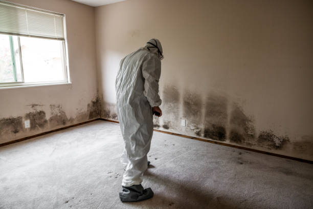 Best Office Mold Removal Services  in Maury, NC